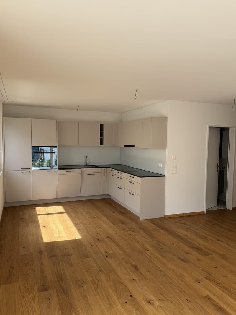 3.5-Zimmerwohnung - Erstvermietung im Eigentumsstandard (2)