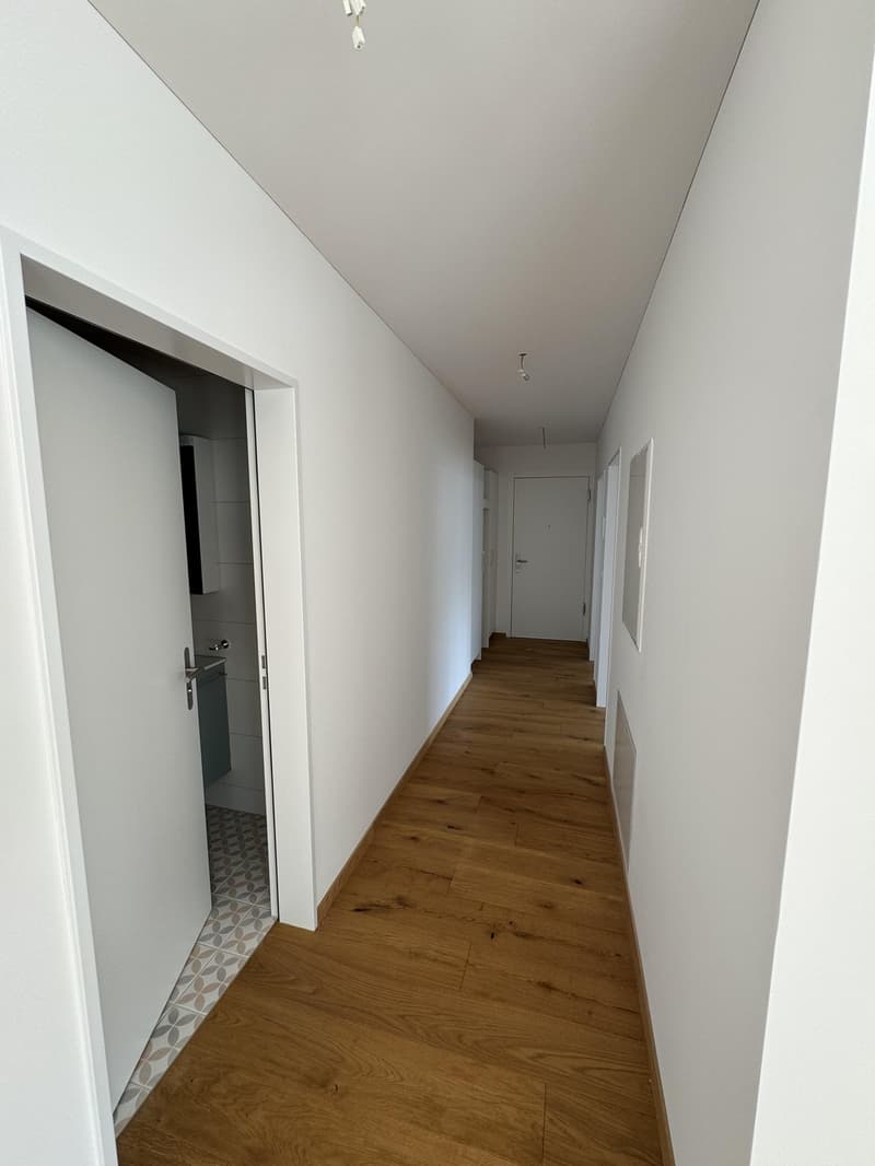 3.5-Zimmerwohnung - Erstvermietung im Eigentumsstandard (7)