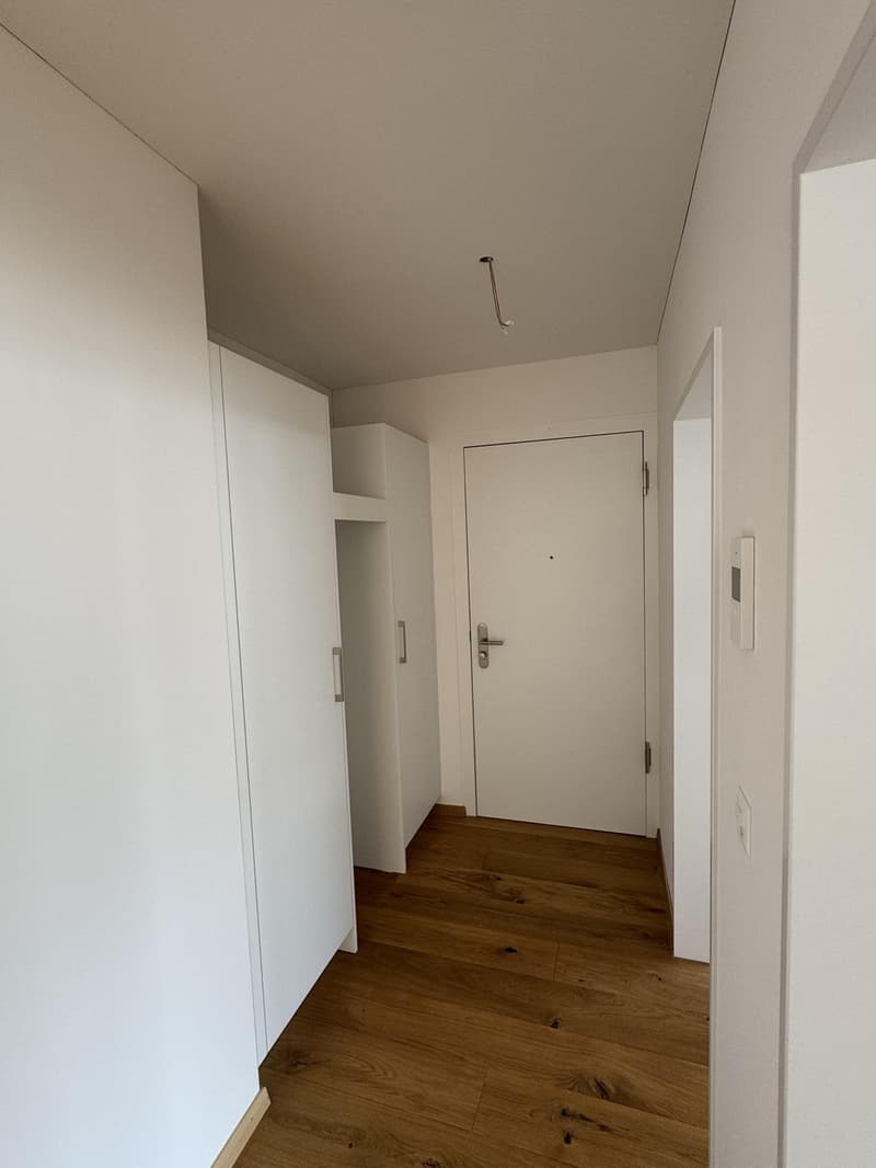 3.5-Zimmerwohnung - Erstvermietung im Eigentumsstandard (9)