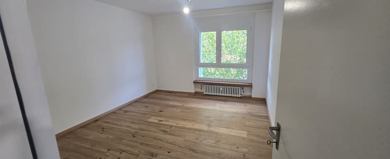 Attraktive 3-Zimmerwohnung in Langenthal mit Aussicht (8)