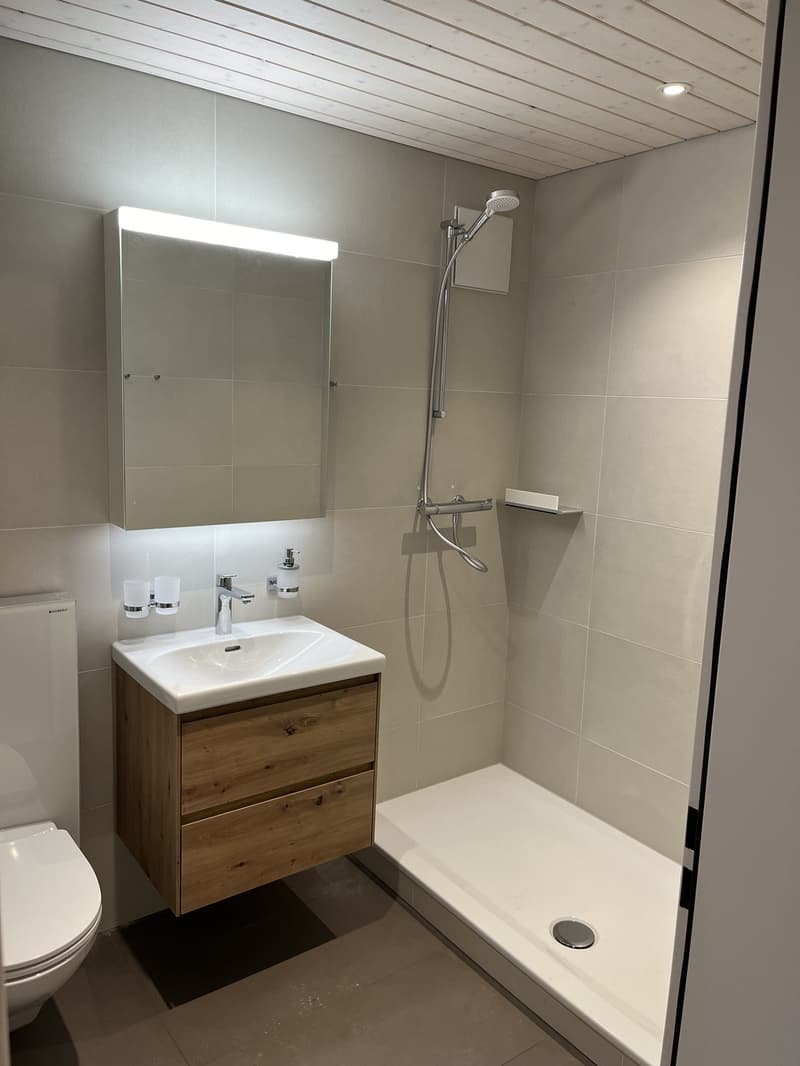 Moderne 3.5-Zimmer-Wohnung mit 124 m² in Hindelbank zu vermieten (9)