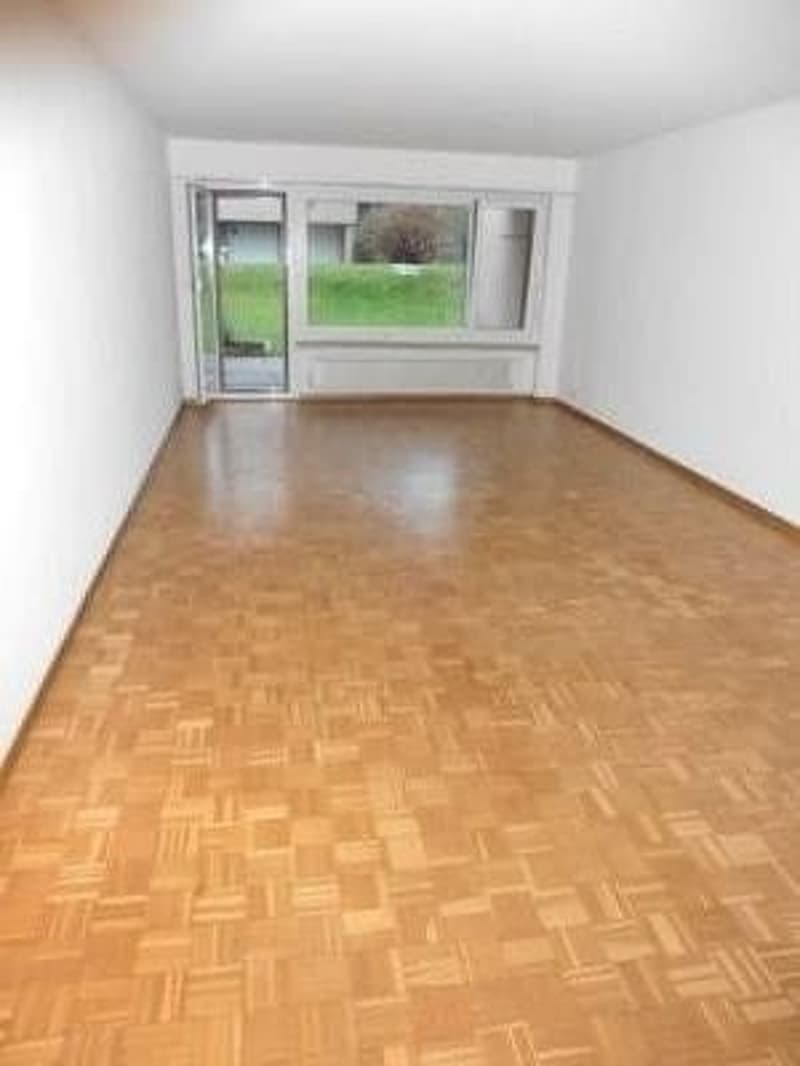 Grosszügige 4.5-Zimmerwohnung an ruhiger Lage zu vermieten (3)