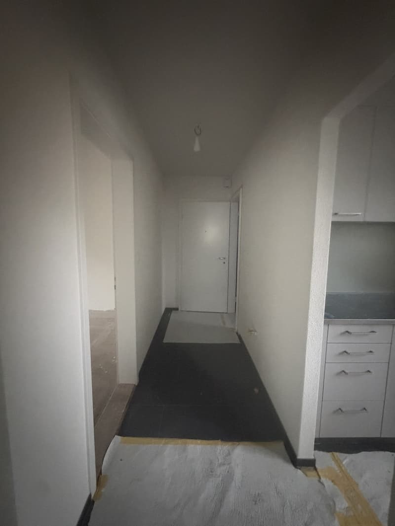 Helle, neu sanierte 2.5-Zimmer-Wohnungen am Aarmattweg 53 (7)