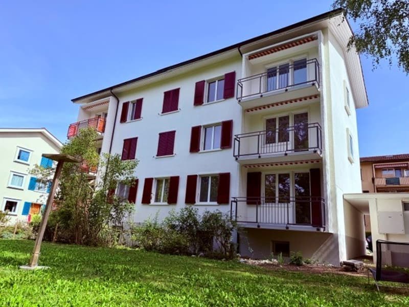 Helle, neu sanierte 2.5-Zimmer-Wohnungen am Aarmattweg 53 (1)