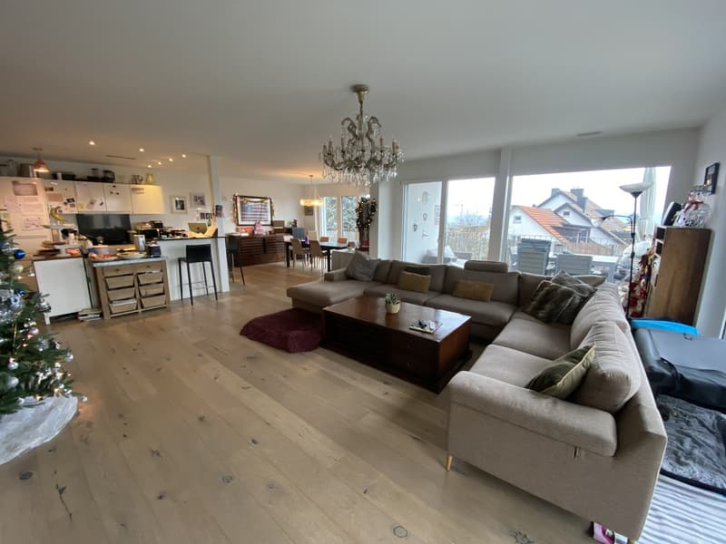 5.5 Zimmer Wohnung (5)