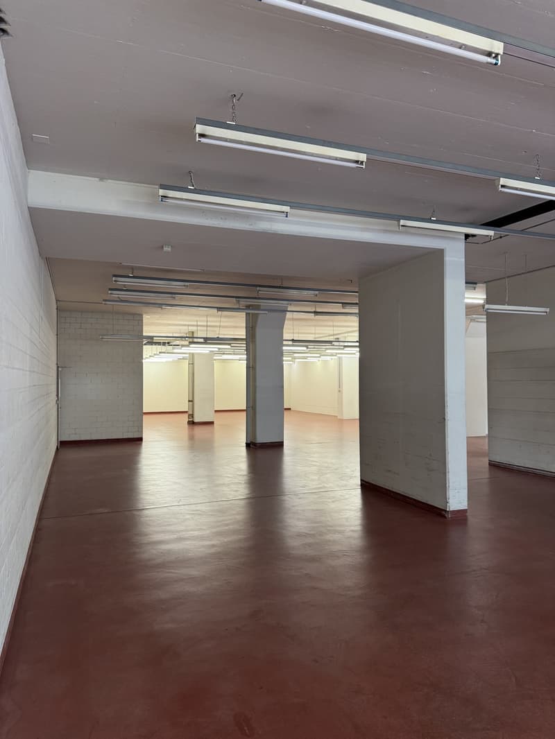Repräsentatives Gewerbeobjekt mit Büro- und Lagerflächen an strategischer Lage (11)