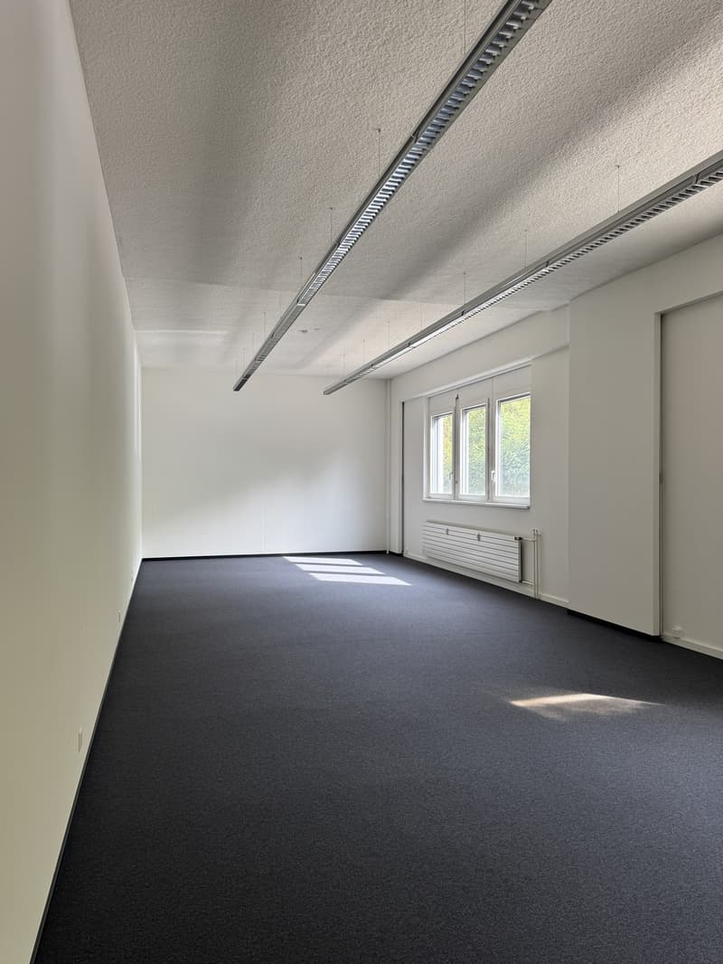 Repräsentatives Gewerbeobjekt mit Büro- und Lagerflächen an strategischer Lage (1)