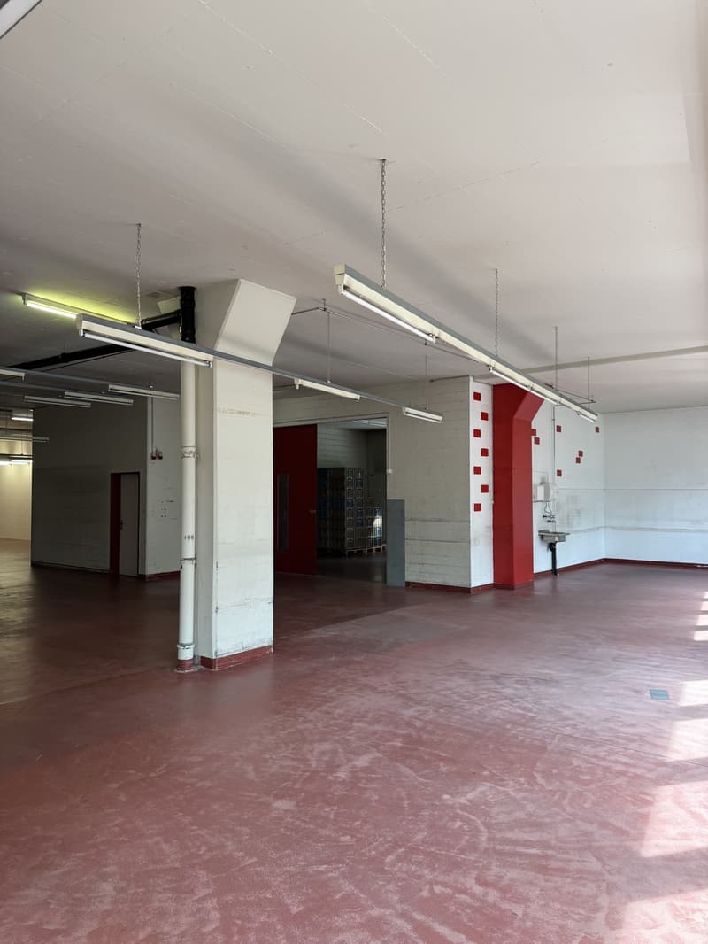 Repräsentatives Gewerbeobjekt mit Büro- und Lagerflächen an strategischer Lage (13)