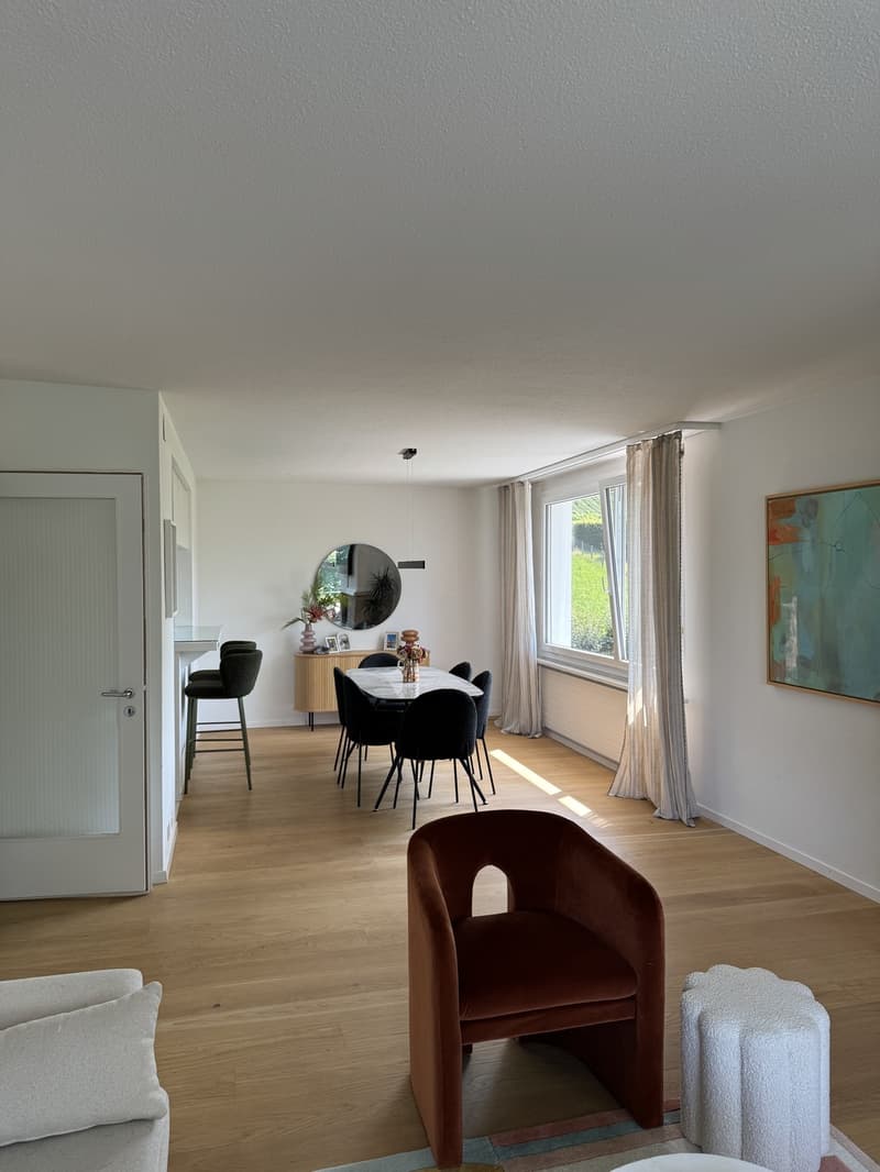 Lake View Apartment in Küsnacht (10)