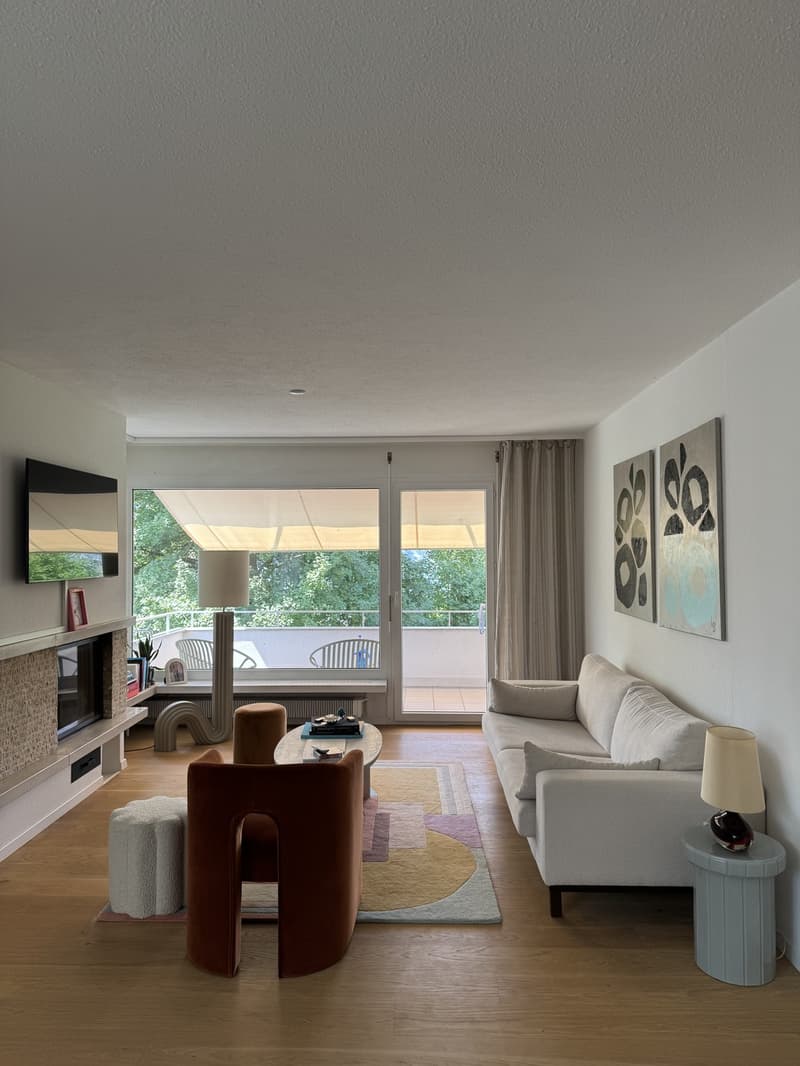 Lake View Apartment in Küsnacht (13)