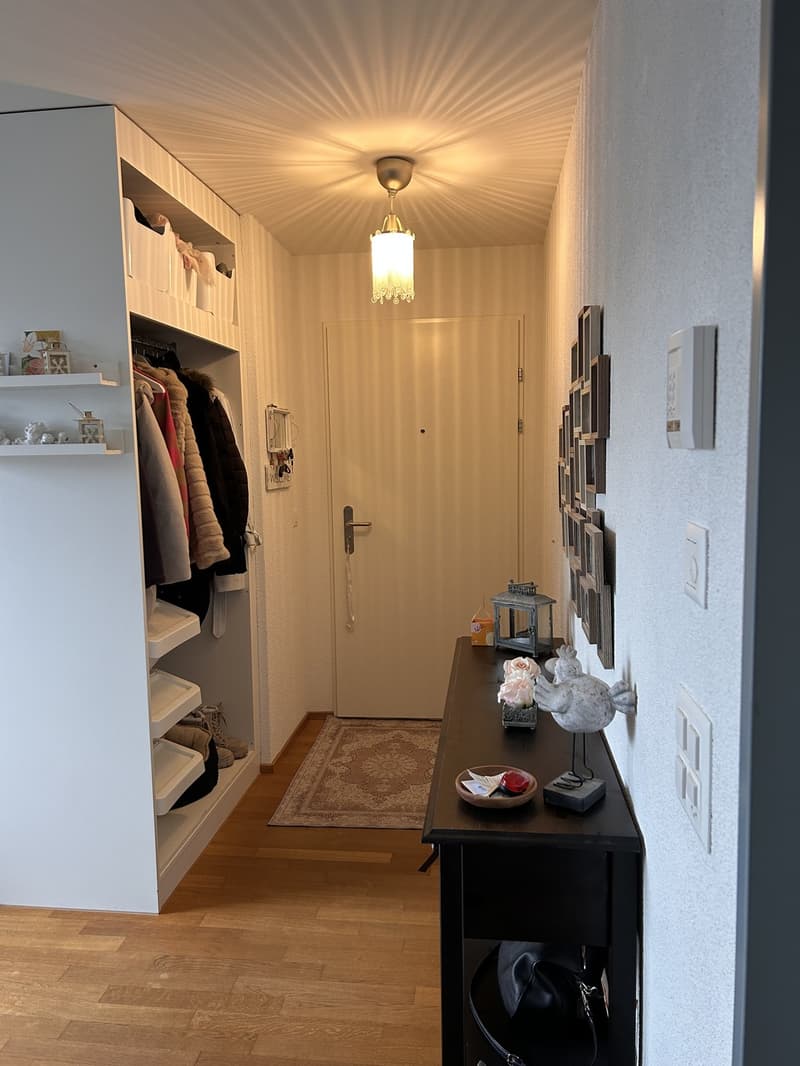 2.5 Zimmer Attika Wohnung (6)