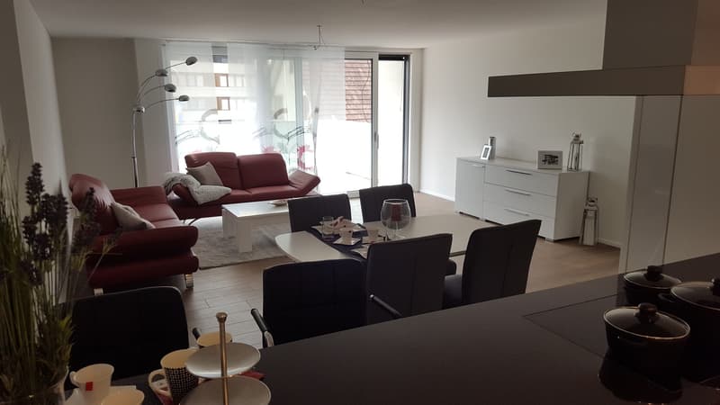 4.5 Dachwohnung mit Estrich (3)