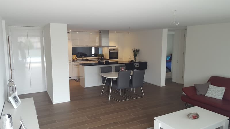 4.5 Dachwohnung mit Estrich (2)