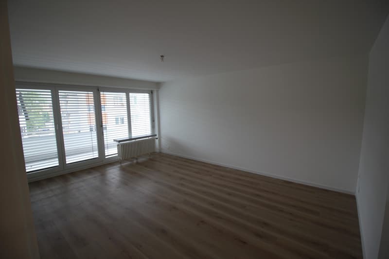 Helle renovierte 4,5 ZiWhg, nahe Zentrum und Kantonspital (1)