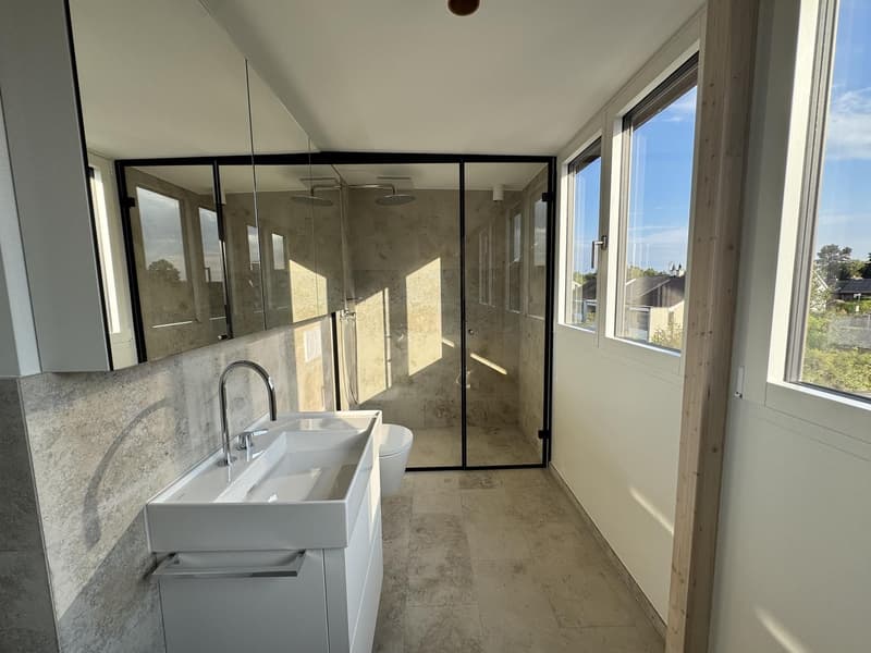 Newly built, first-occupancy 2.5-room attic apartment in Muttenz (5)