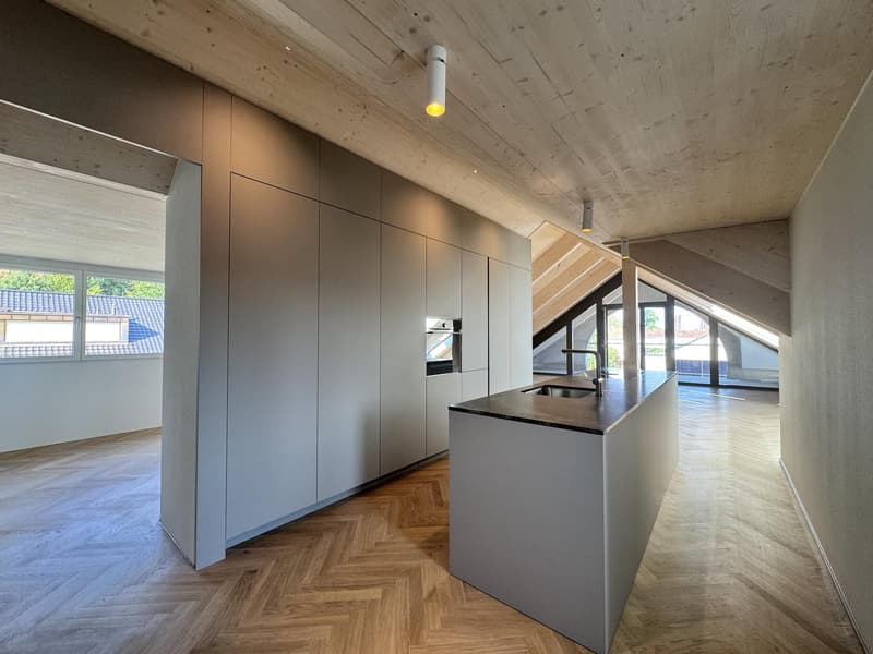 Newly built, first-occupancy 2.5-room attic apartment in Muttenz (1)
