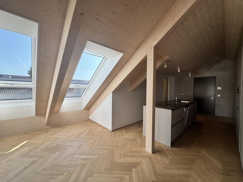Newly built, first-occupancy 2.5-room attic apartment in Muttenz (4)