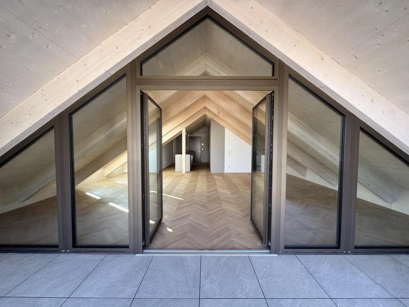 Newly built, first-occupancy 2.5-room attic apartment in Muttenz (3)