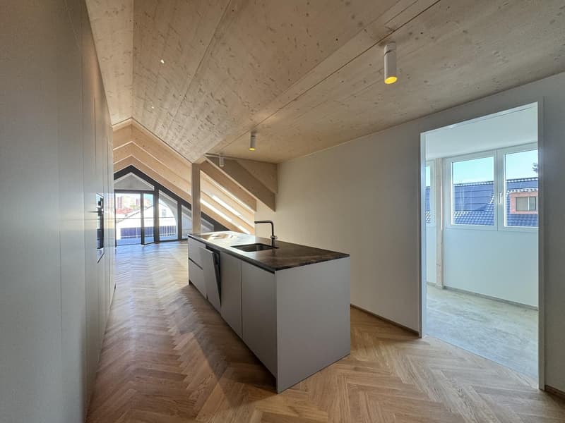 Newly built, first-occupancy 2.5-room attic apartment in Muttenz (2)