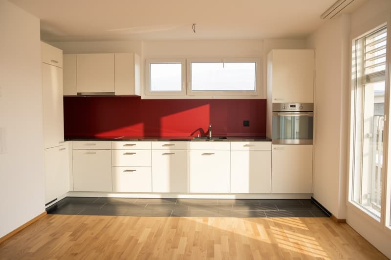 Helle 2.5-Zimmer-Attikawohnung (3)
