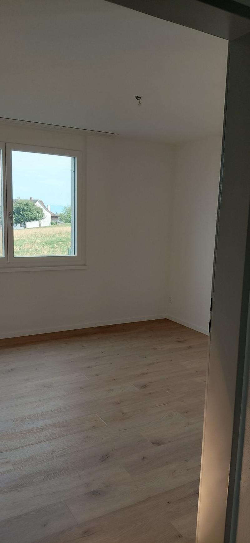 Neu ronovierte 2 Zimmer Wohnung (1)