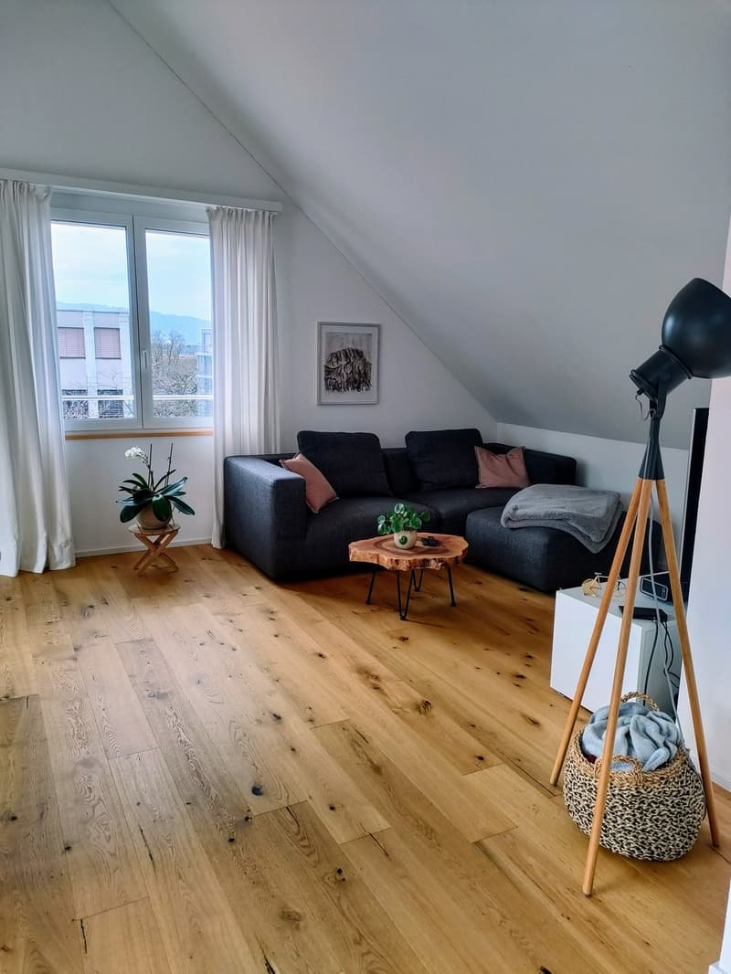 Helle 2.5 Zi Dachwohnung im Zentrum von Schlieren (2)