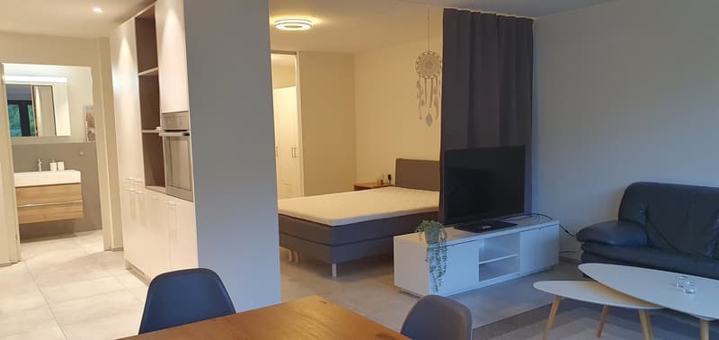 Modernes Studio in Ennetbaden, möbliert oder teilmöbliert zu mieten (2)