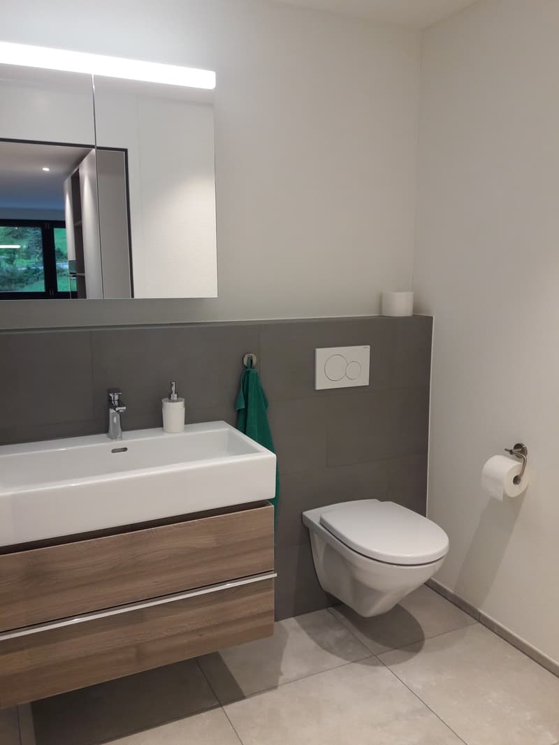 Modernes Studio in Ennetbaden, möbliert oder teilmöbliert zu mieten (3)