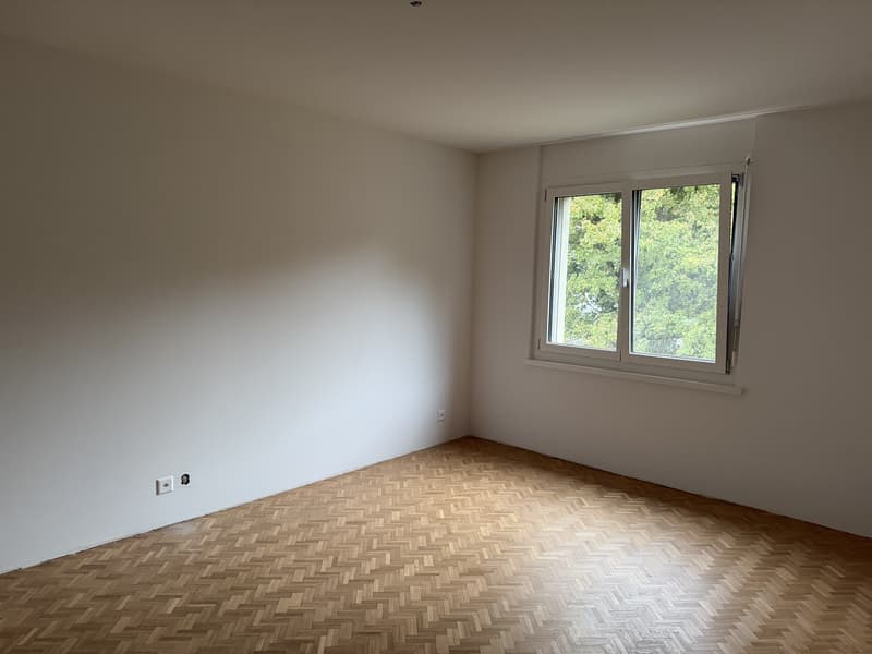 Frisch renovierte 4.5-Zimmer-Wohnung mit Cheminée, Balkon und eigener Waschküche (8)