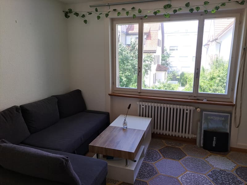 Zentral und doch ruhig: 2-Zimmer-Wohnung im Herzen von Winterthur (1)