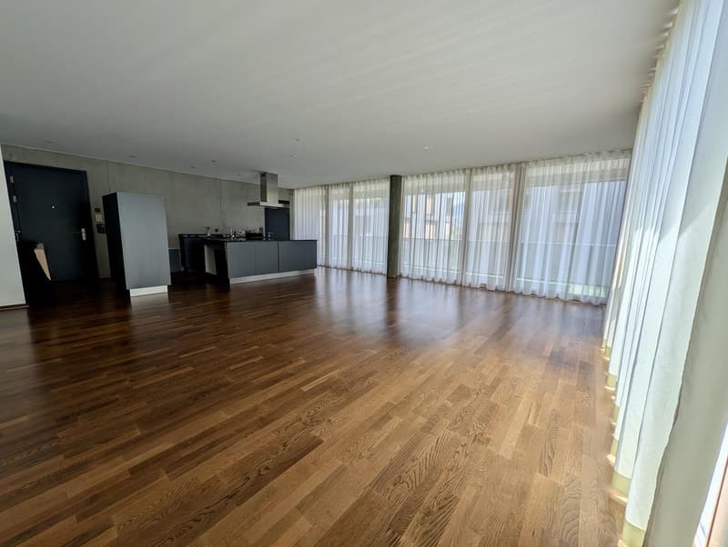 Helle 3.5-Zimmer mit Teil-Seesicht und Loftcharakter ruhig und grosszügig am Zürichsee (3)