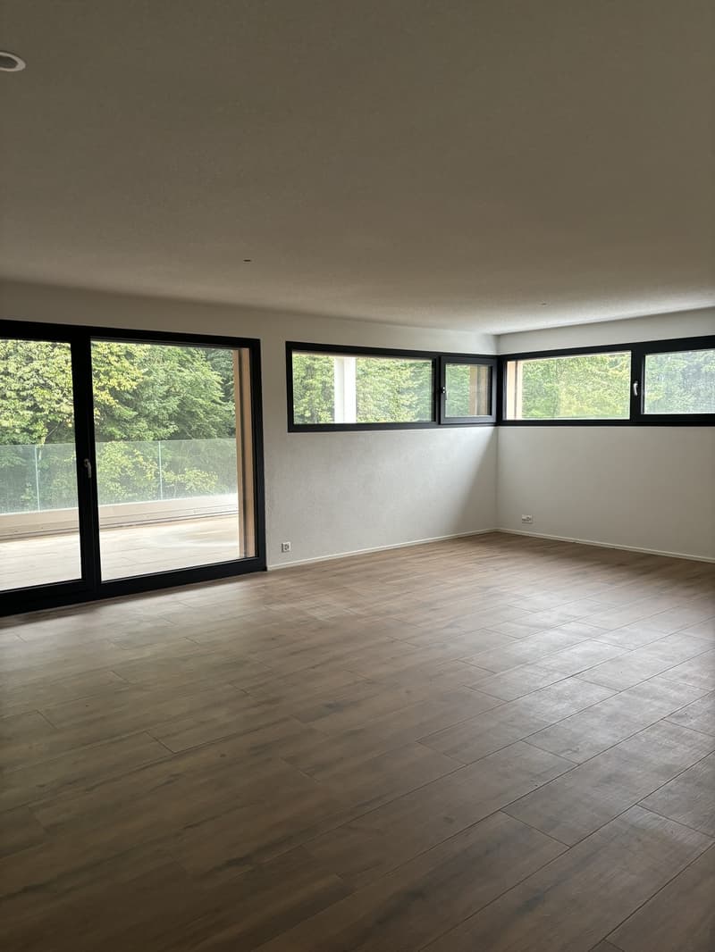 Helle, grosszügige 1.5-Zimmerwohnung modern & gemütlich (2)