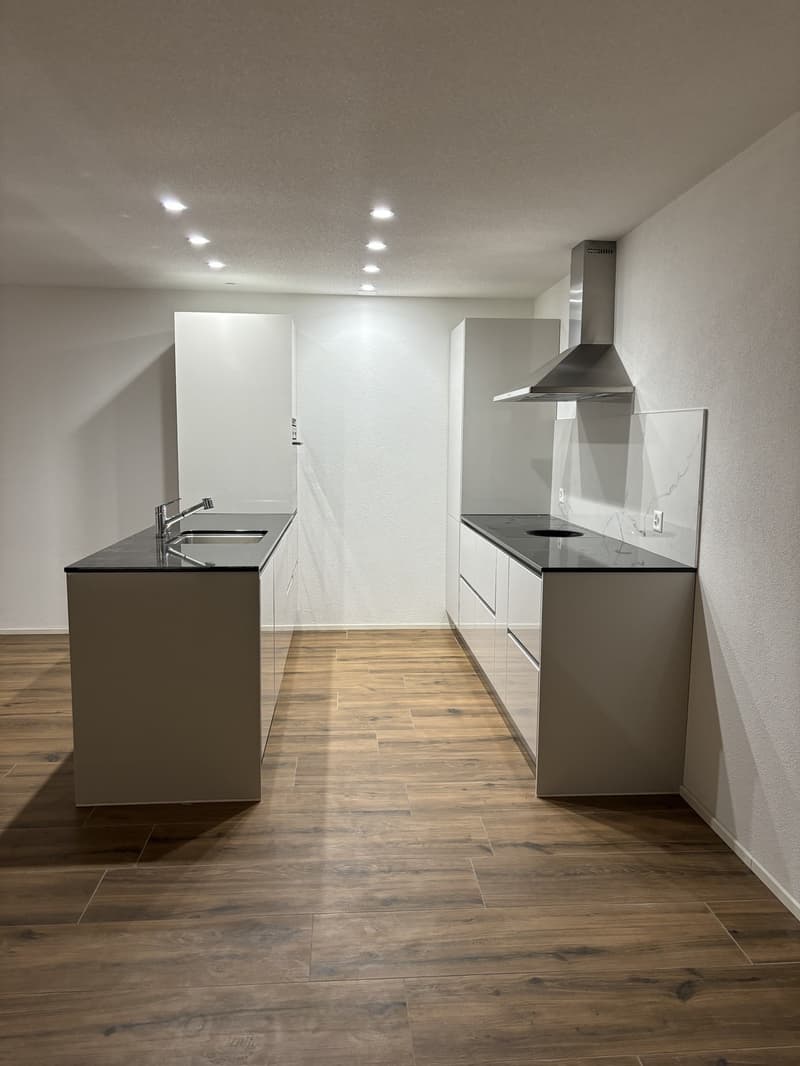 Helle, grosszügige 1.5-Zimmerwohnung modern & gemütlich (3)
