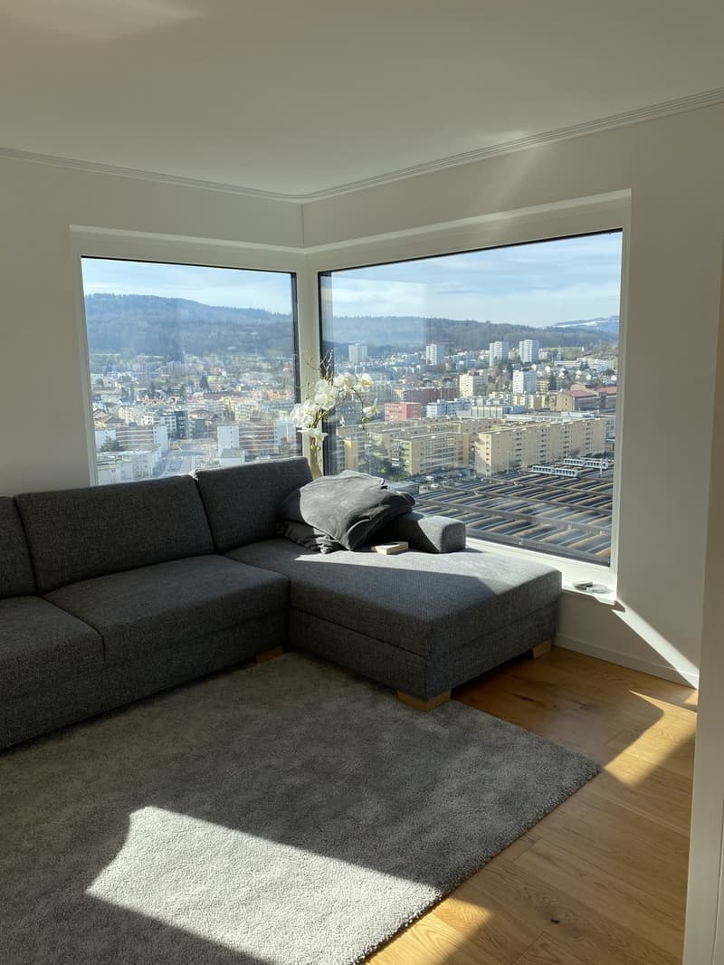 WG Zimmer in Luxus Apartment in Zürich (8)
