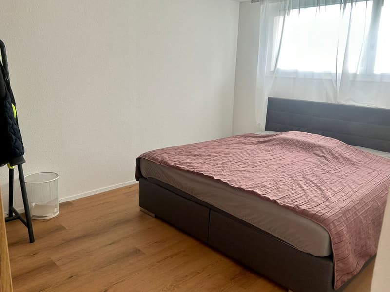 2.5 Zimmer-Wohnung (1.5 Zimmerstudiowohnung mit separatem Zimmer) (4)