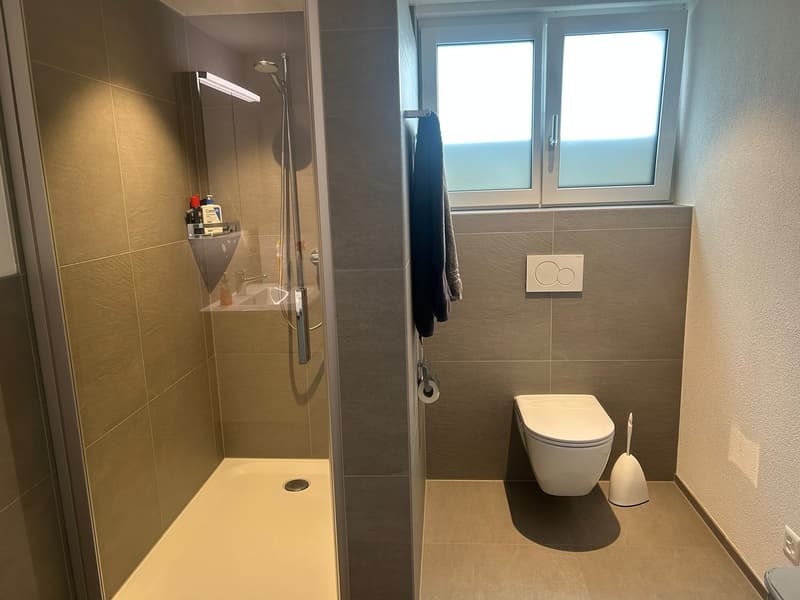 2.5 Zimmer-Wohnung (1.5 Zimmerstudiowohnung mit separatem Zimmer) (3)