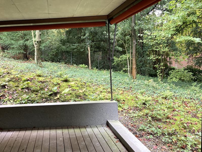 2.5-Zimmer-Wohnung im Seefeld (2)