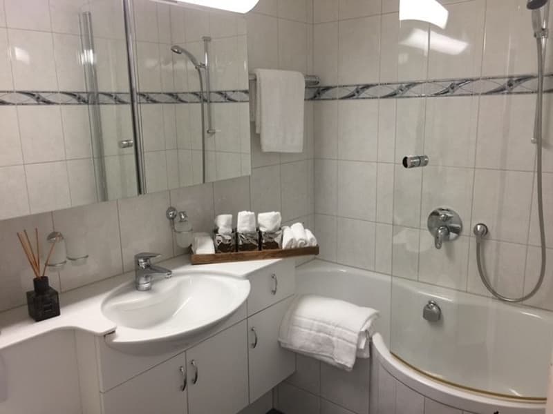 Grosse, helle 3.5-Zimmer-Wohnung mit Weitsicht Adliswil (4)