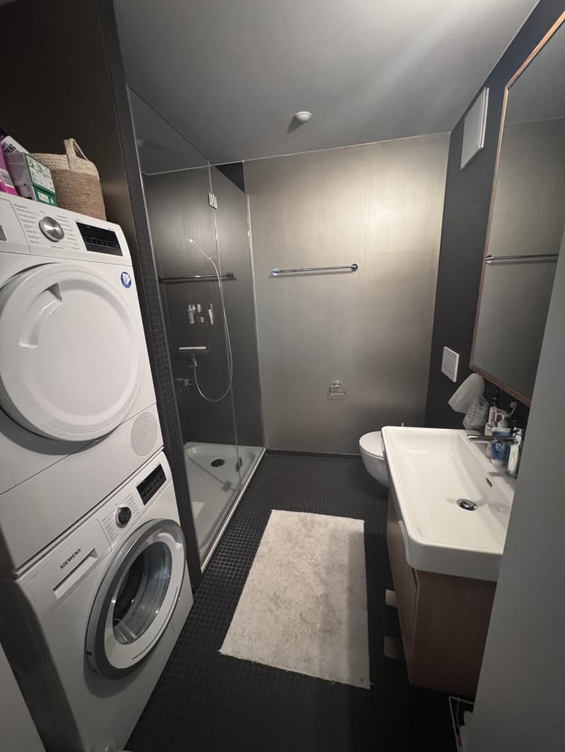 3.5 room luxury apartment in downtown Zurich (6)