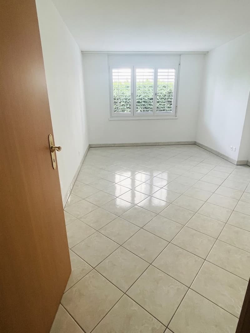 5.5-Zimmer-Gartenwohnung 118 m² Wohnfläche + ca. 66 m² Zusatzfläche + 230 m² Privatgarten (10)