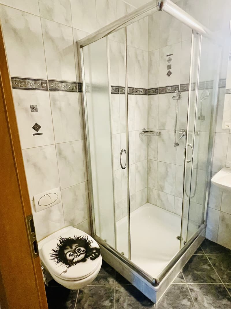 5.5-Zimmer-Gartenwohnung 118 m² Wohnfläche + ca. 66 m² Zusatzfläche + 230 m² Privatgarten (9)