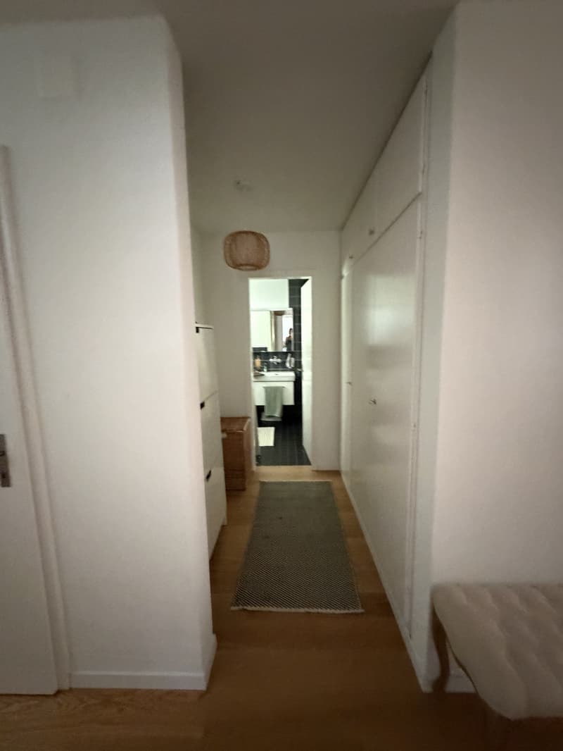 Beautiful & Spacious 4.5-Room Apartment in Adliswil Available for Takeover (7)