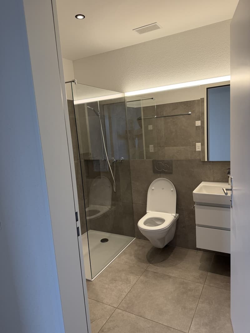 Per Sofort! Moderne 3.5-Zimmer-Attikawohnung in Siebnen (4)