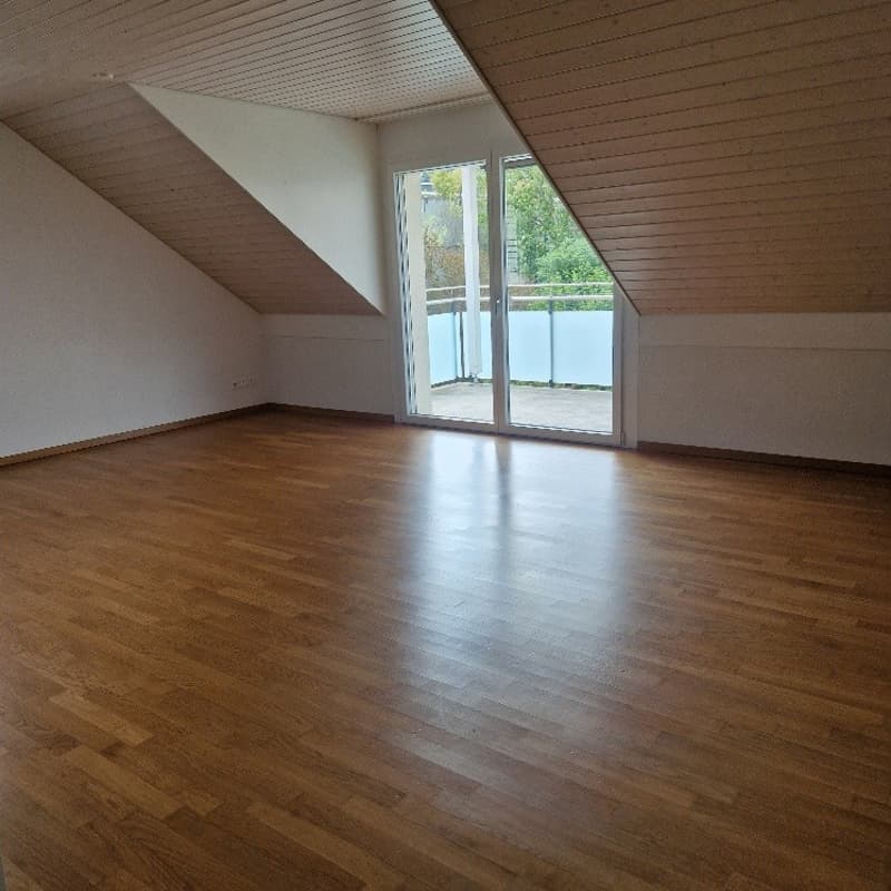 Sonnige Dachwohnung in Stein / AG (5)