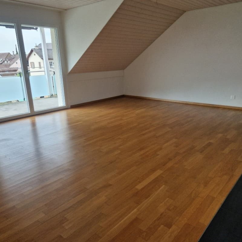 Sonnige Dachwohnung in Stein / AG (10)