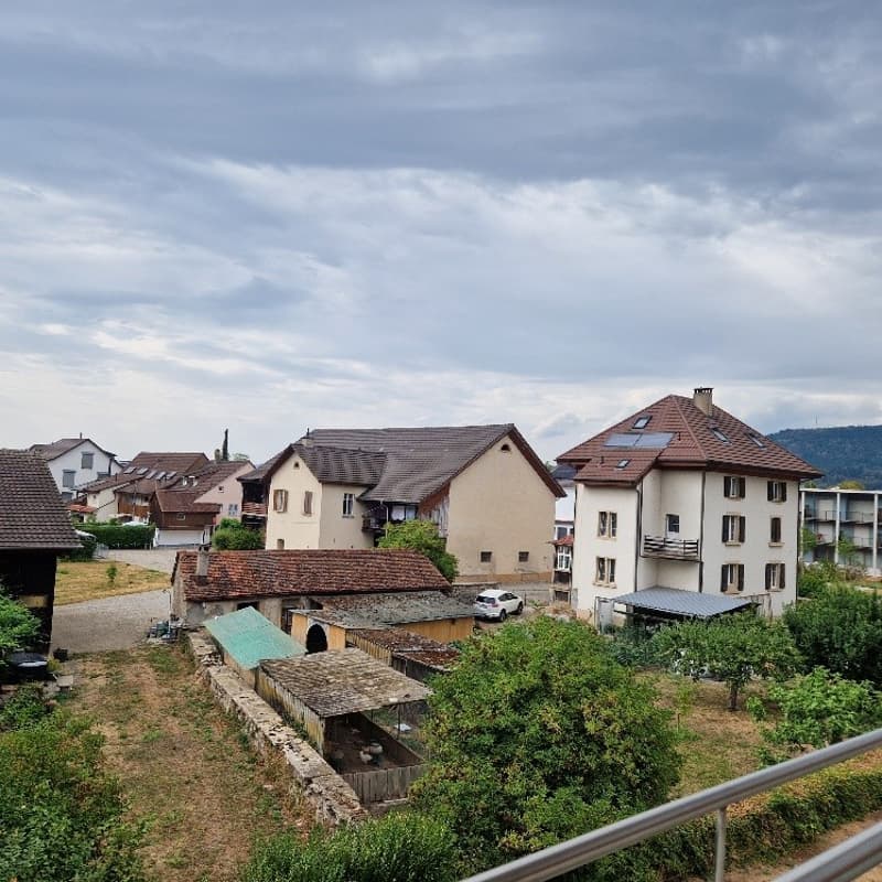 Sonnige Dachwohnung in Stein / AG (8)