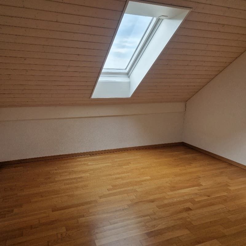 Sonnige Dachwohnung in Stein / AG (1)