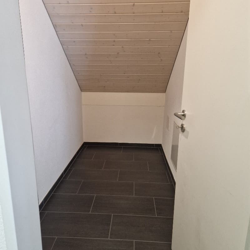 Sonnige Dachwohnung in Stein / AG (4)