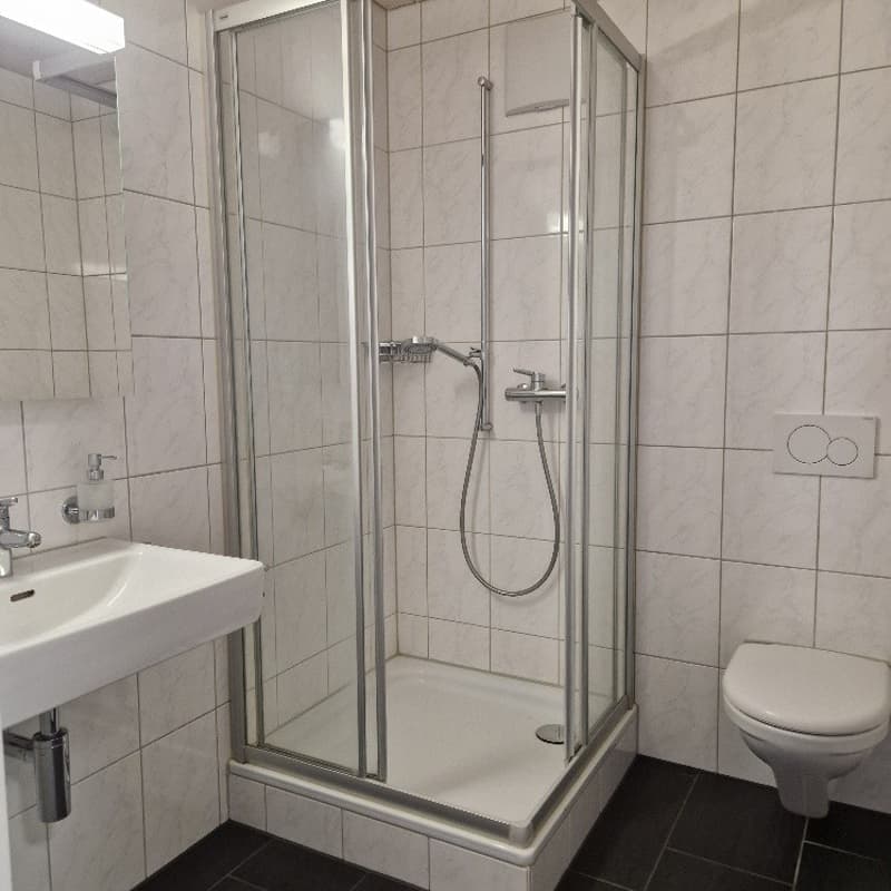 Sonnige Dachwohnung in Stein / AG (7)