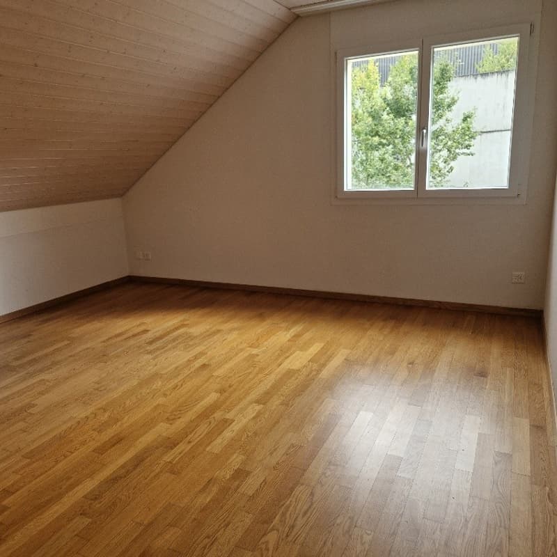 Sonnige Dachwohnung in Stein / AG (6)